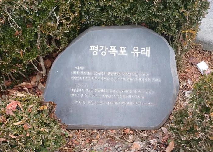 Апартаменты Yongmasan Healing